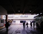 Kcomitia32-0.jpg