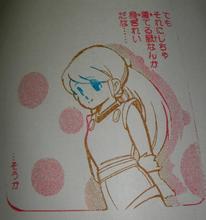 prgokko-01.jpg